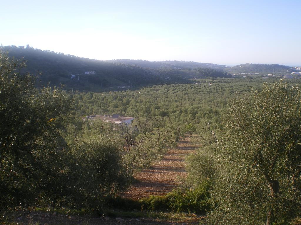 Azienda Agricola B&B Macchiaria Vieste Exterior foto