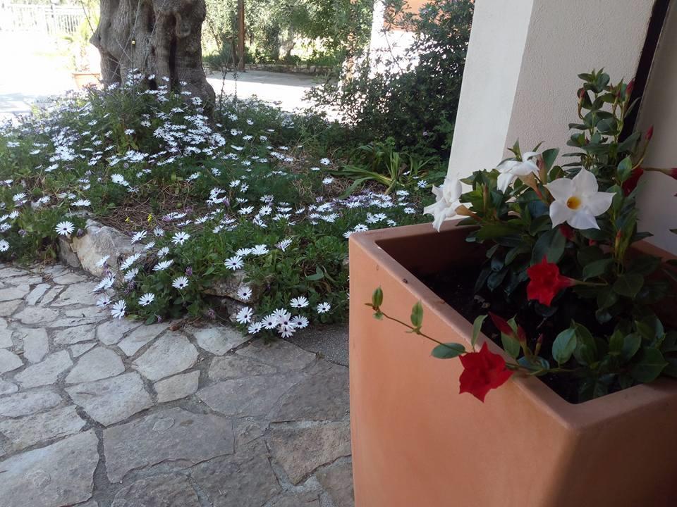 Azienda Agricola B&B Macchiaria Vieste Exterior foto